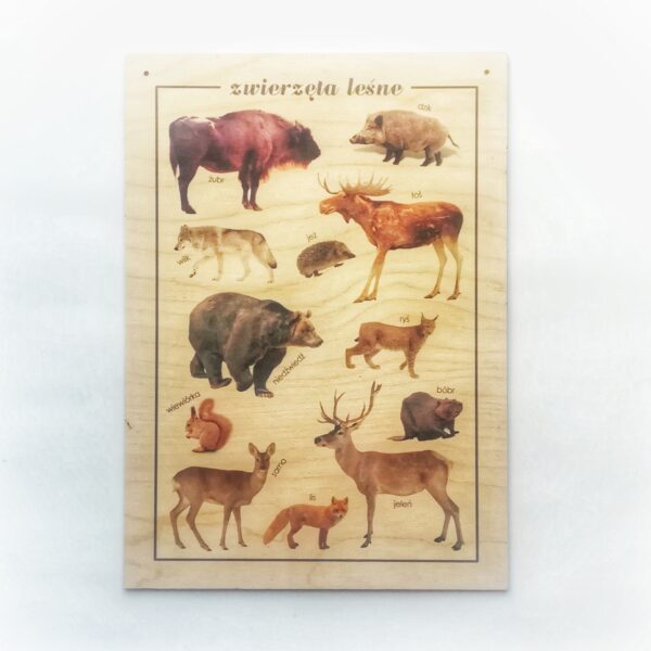 Plakat Montessori zwierzęta leśne
